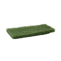 Glomesh Glitter Pad 250mm x 115mm [Colour: Green]