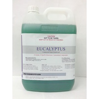 Bigclean Eucalyptus 5L [Size: 5L]