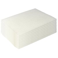 Edoates No 105 Non Scratch Scour Pad 10pcs/pack