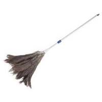 Edoates Feather Duster Inverted With Extension