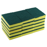 Edoates Contractor Scournsponge Green 15/ctn