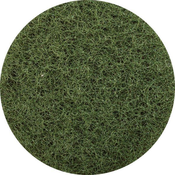 Glomesh regular Speed Green Pad