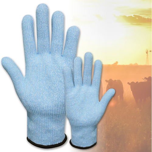 Bastion Liner Glove [Size: small]